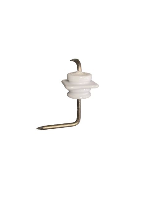 ELECTRODE (IONIZATION)